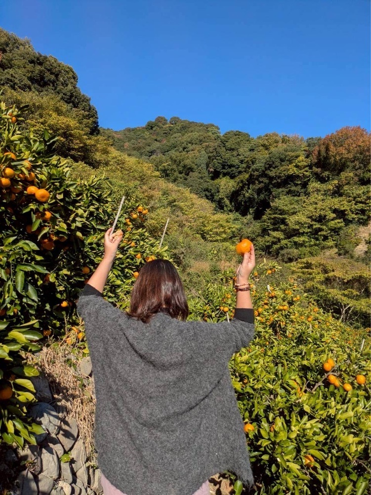 ruujunさんが投稿した観音山フルーツガーデンに関する口コミの画像