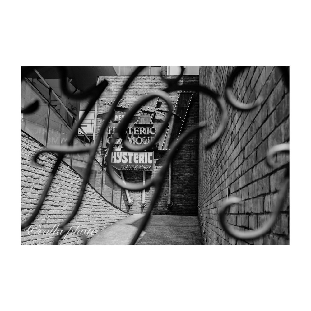 urban_garden_243aさんが投稿したオレンジストリート(立花通り)に関する口コミの画像