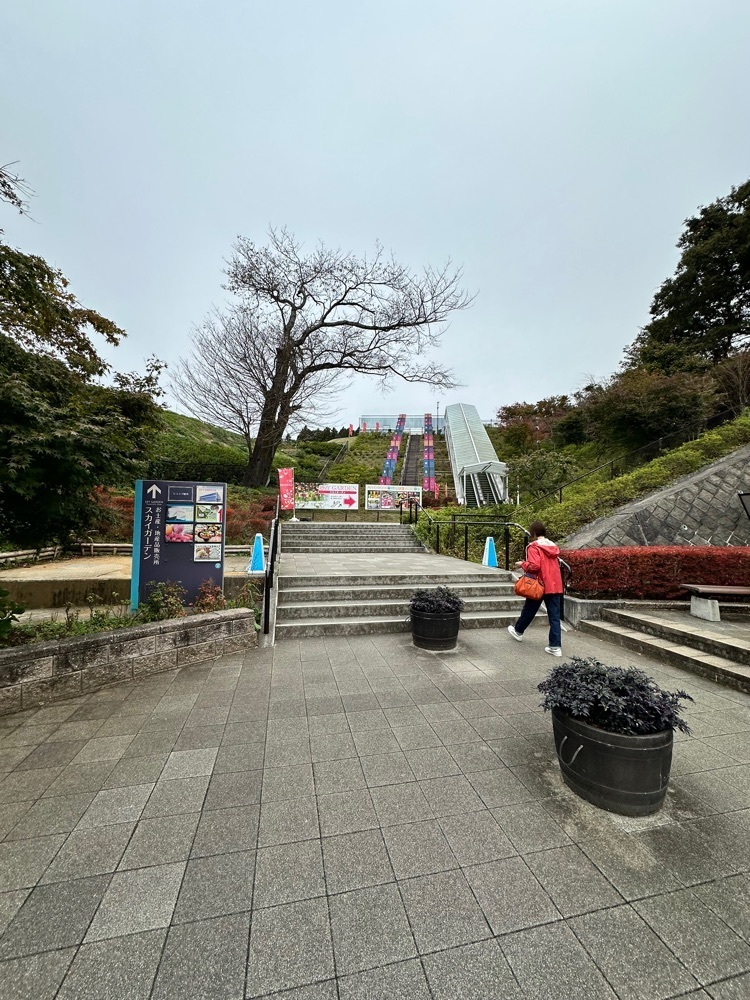 からっ風②さんが投稿したスカイガーデン（SKYGARDEN）に関する口コミの画像