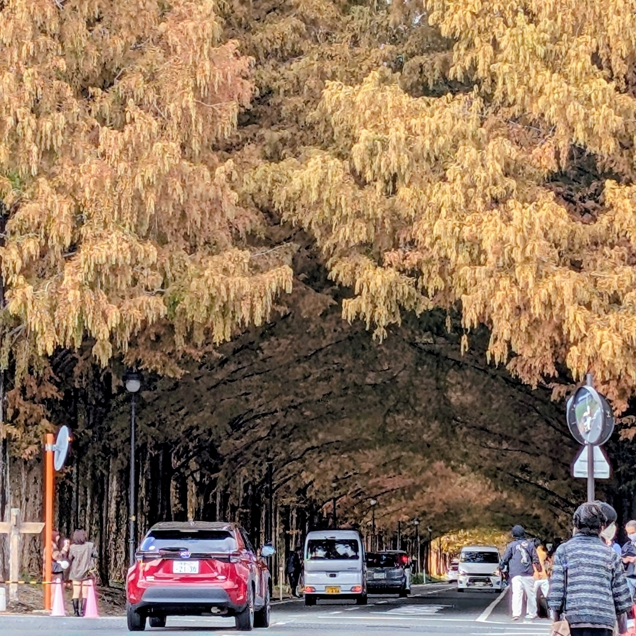 ぬっくさんが投稿したマキノ高原に関する口コミの画像