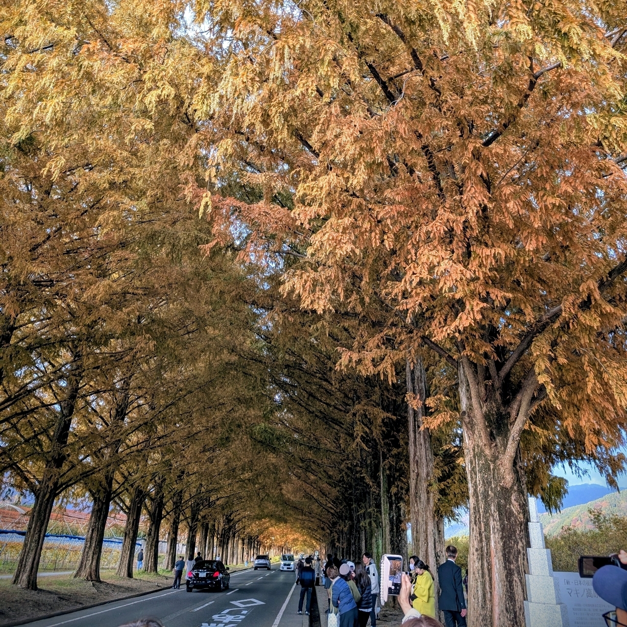 ぬっくさんが投稿したマキノ高原に関する口コミの画像