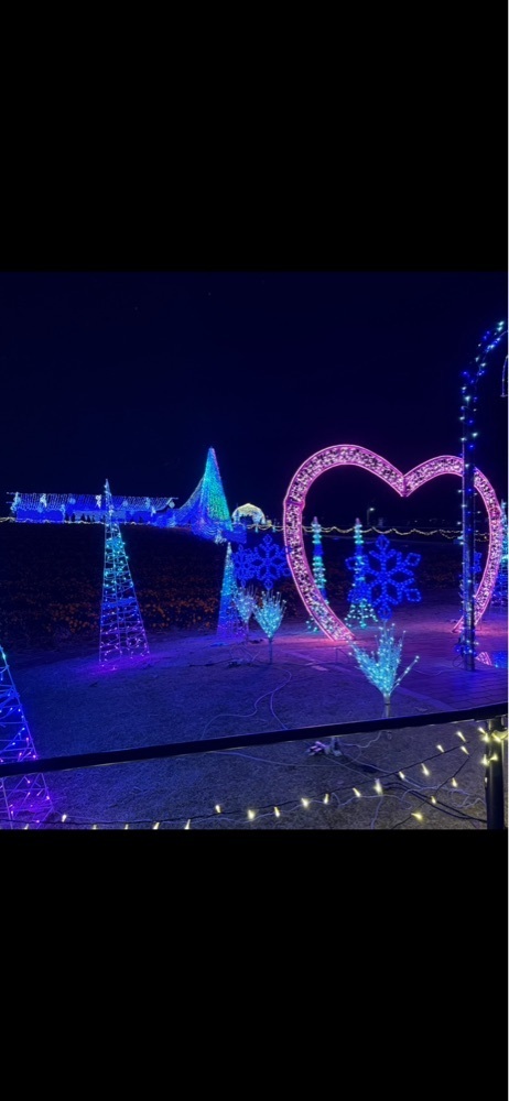からっ風②さんが投稿したマリーゴールドの丘公園に関する口コミの画像