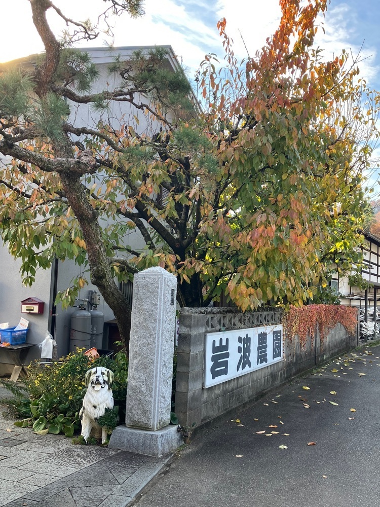Nさんが投稿した岩波農園に関する口コミの画像
