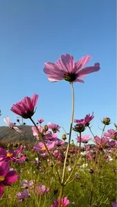 イオンモール 綾川