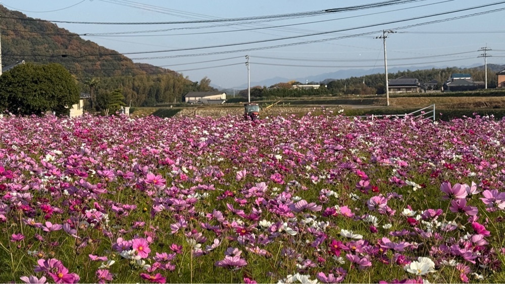 みぃさんが投稿したイオンモール 綾川に関する口コミの画像