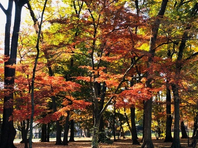 施設画像