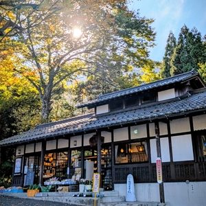 瓜割の滝(若狭瓜割名水公園)