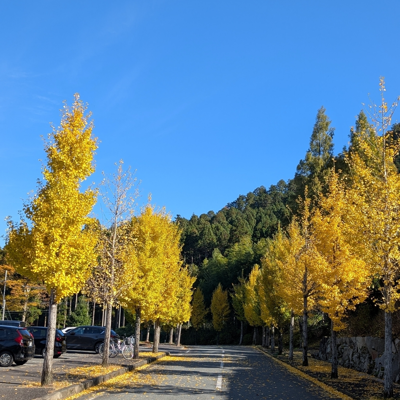ぬっくさんが投稿した瓜割の滝(若狭瓜割名水公園)に関する口コミの画像