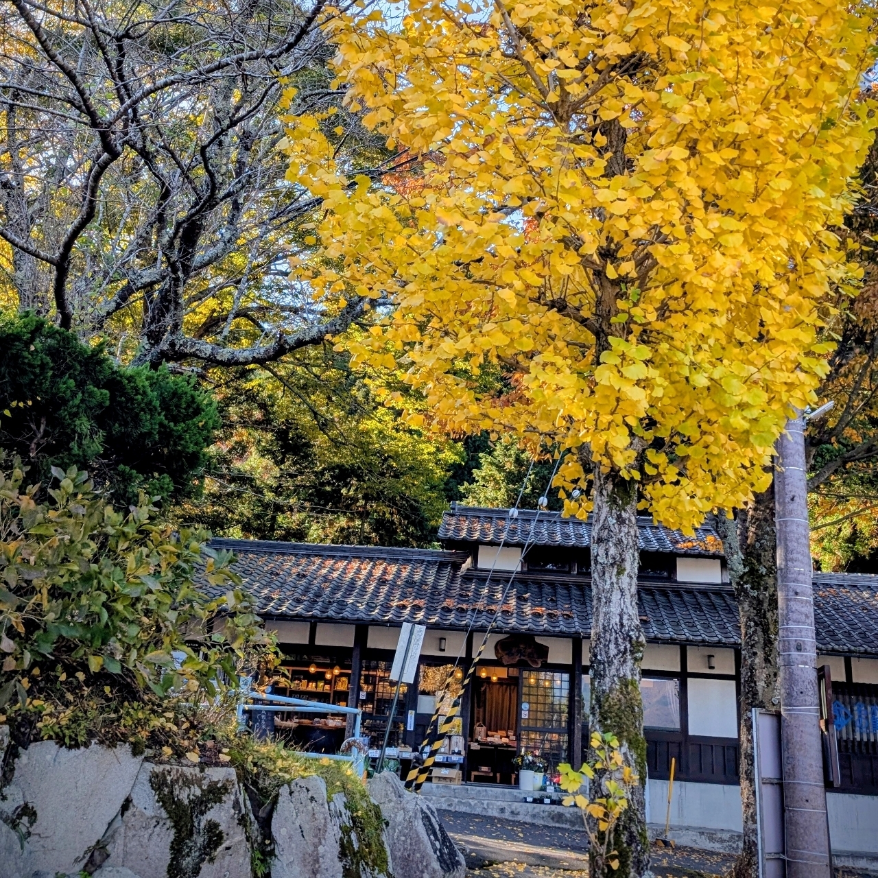 ぬっくさんが投稿した瓜割の滝(若狭瓜割名水公園)に関する口コミの画像