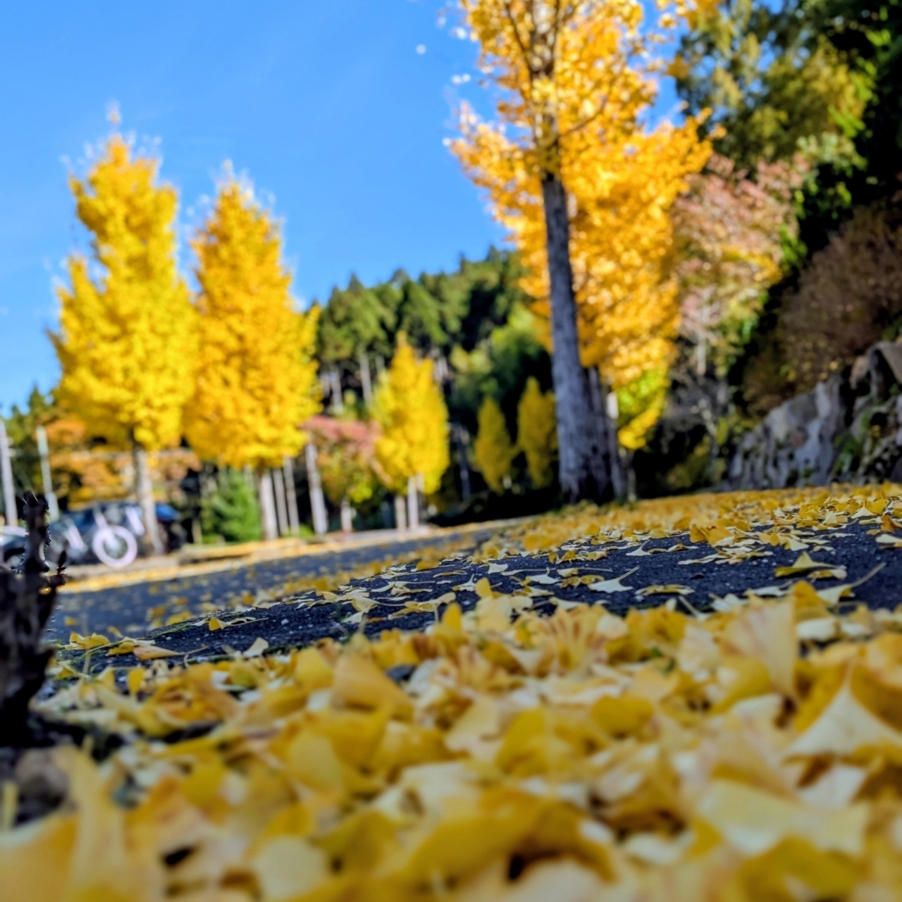 ぬっくさんが投稿した瓜割の滝(若狭瓜割名水公園)に関する口コミの画像