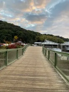 愛逢橋