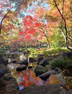 大田黒公園