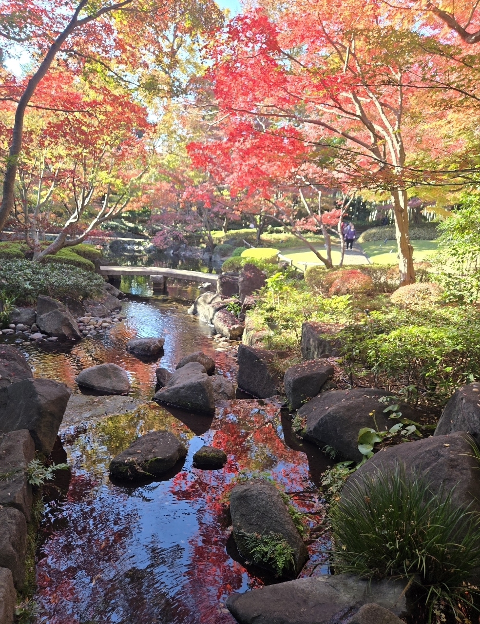 じゅりぽんさんが投稿した大田黒公園に関する口コミの画像