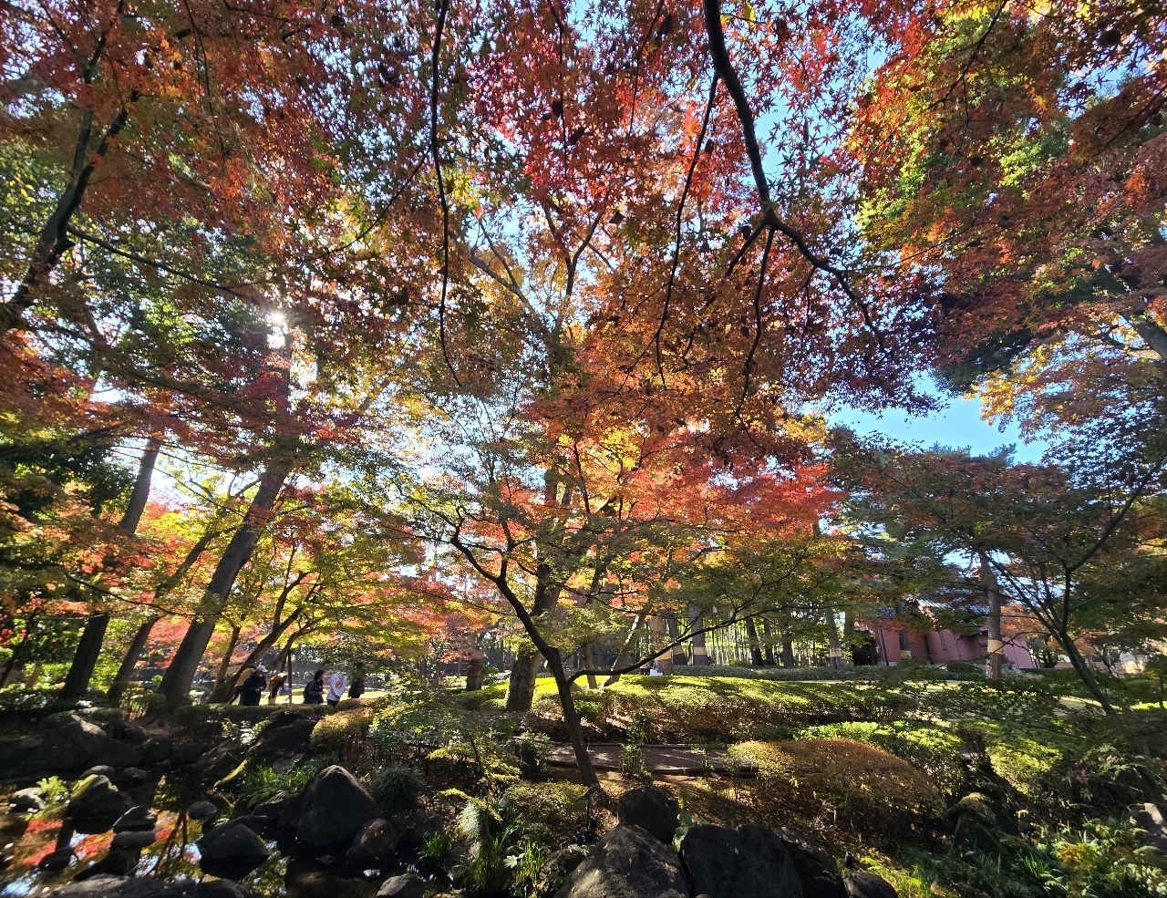 じゅりぽんさんが投稿した大田黒公園に関する口コミの画像