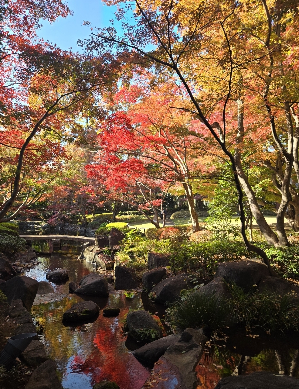 じゅりぽんさんが投稿した大田黒公園に関する口コミの画像