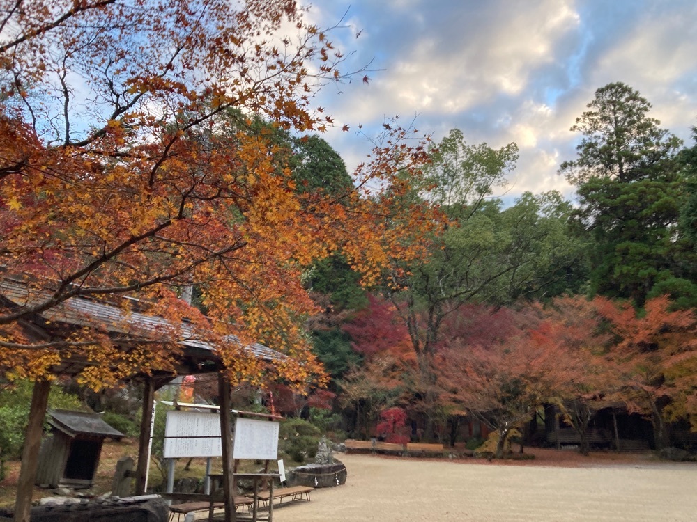 ゴンさんが投稿した仁比山神社（山王さん）に関する口コミの画像