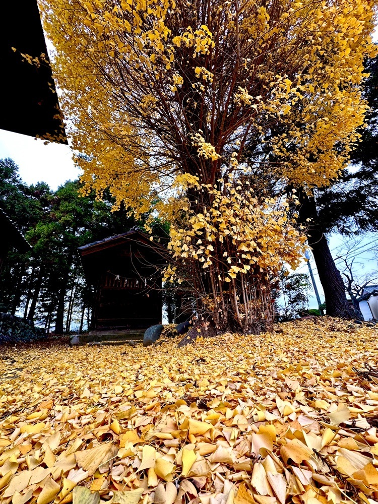 からっ風②さんが投稿した太田市に関する口コミの画像