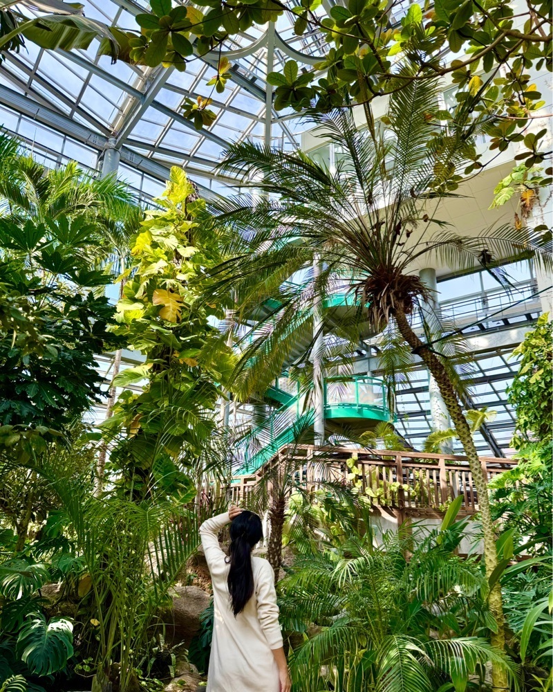 ともみんの大人旅さんが投稿したTHE BOTANICAL RESORT 林音に関する口コミの画像