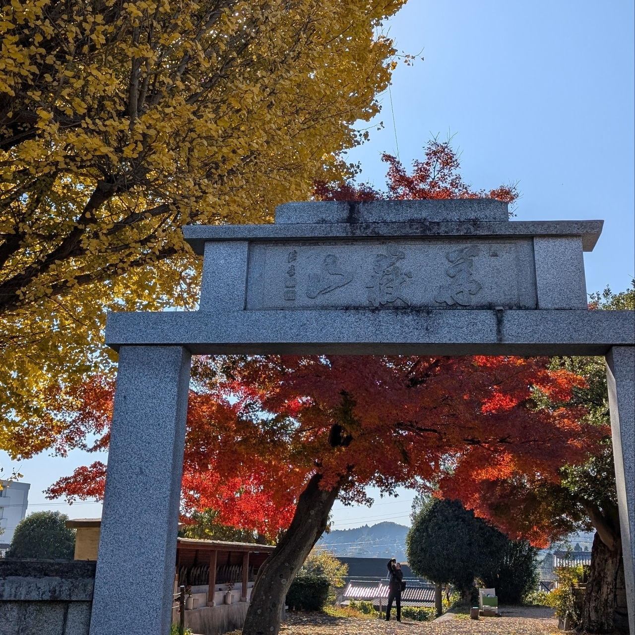 ぬっくさんが投稿した宗英寺のイチョウに関する口コミの画像