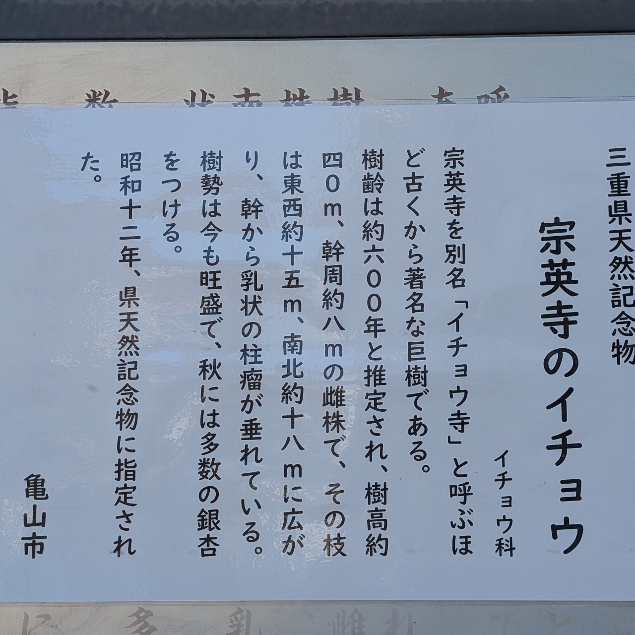 ぬっくさんが投稿した宗英寺のイチョウに関する口コミの画像