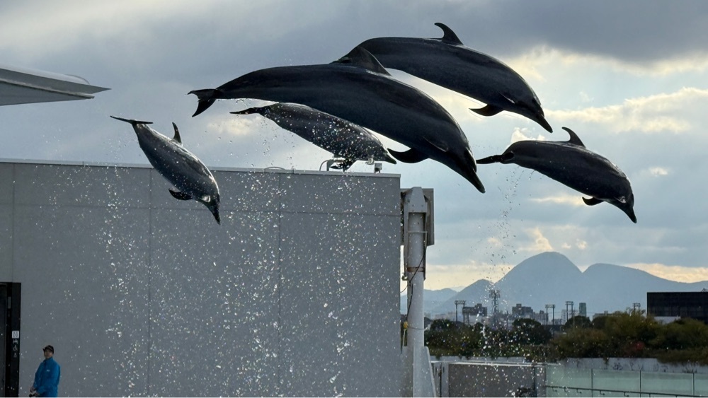 四国水族館 1枚目