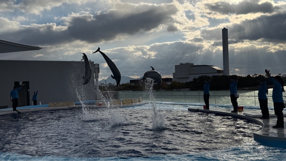 みぃさんが投稿した四国水族館に関する口コミの画像