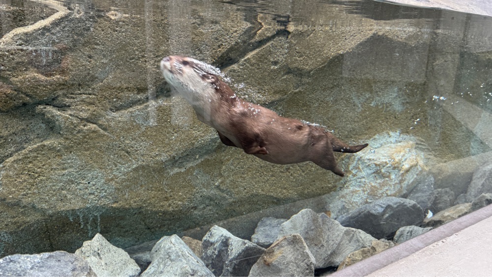 みぃさんが投稿した四国水族館に関する口コミの画像
