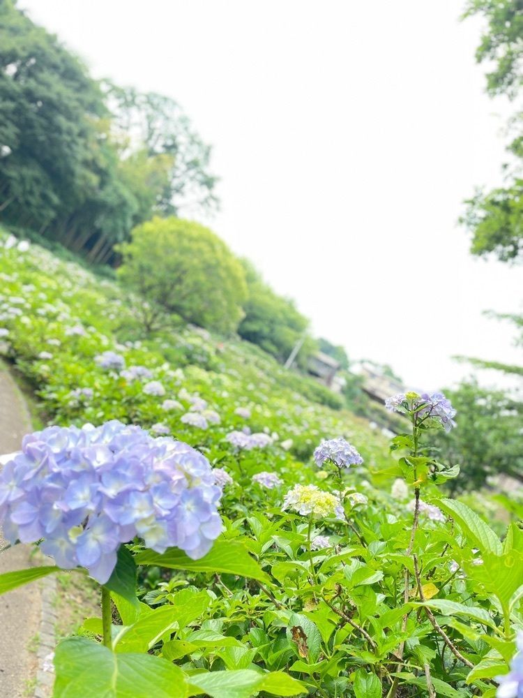 池ちゃんさんが投稿した道の駅 赤城の恵に関する口コミの画像