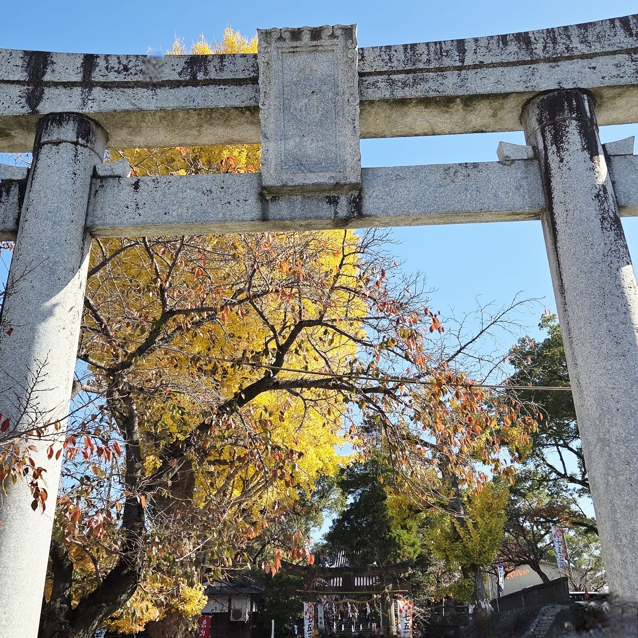 ばらっちゃんさんが投稿した国民宿舎　筑後船小屋　公園の宿に関する口コミの画像