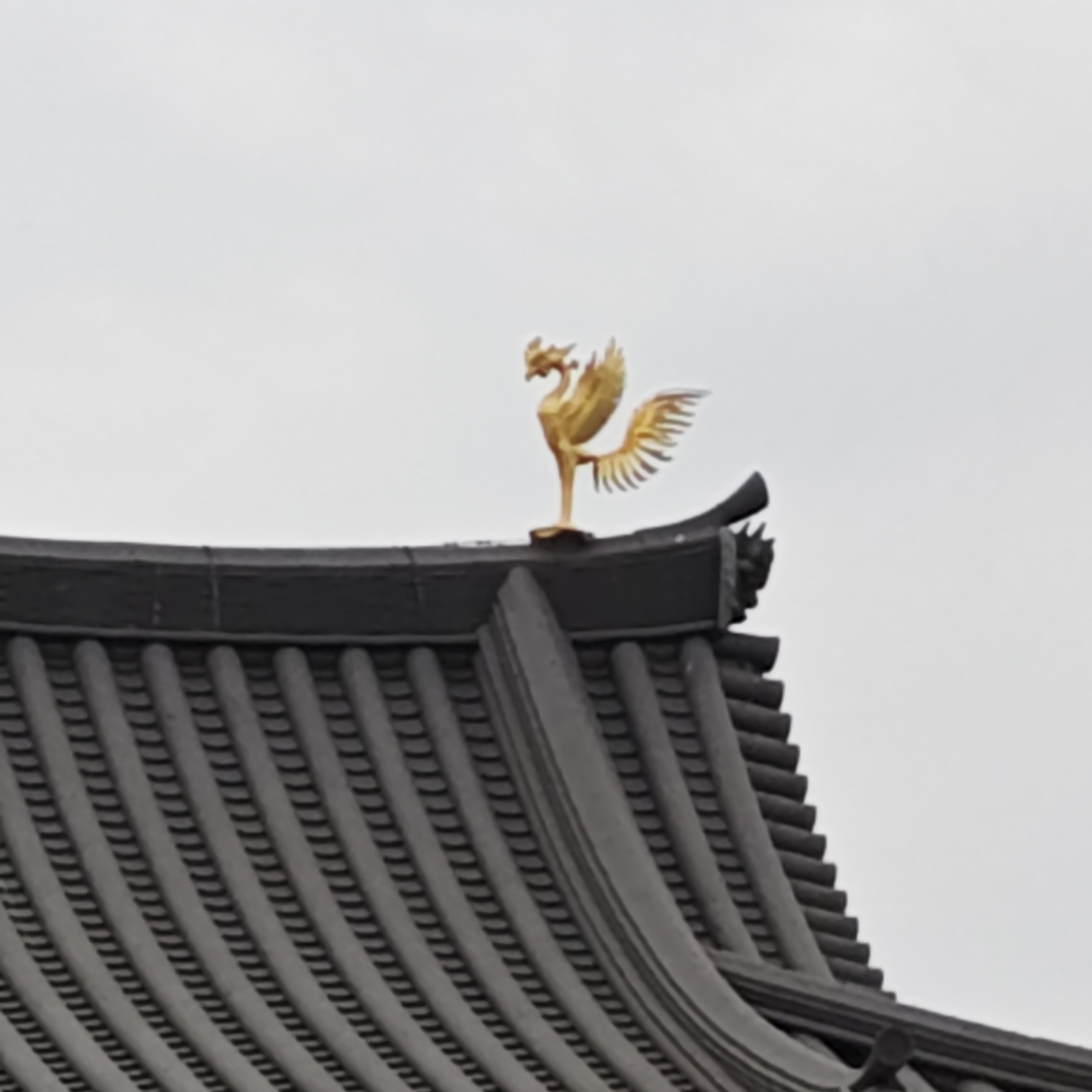 恭子さんが投稿した鳳翔館に関する口コミの画像