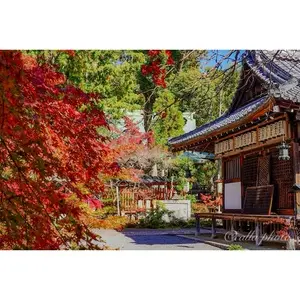 赤山禅院