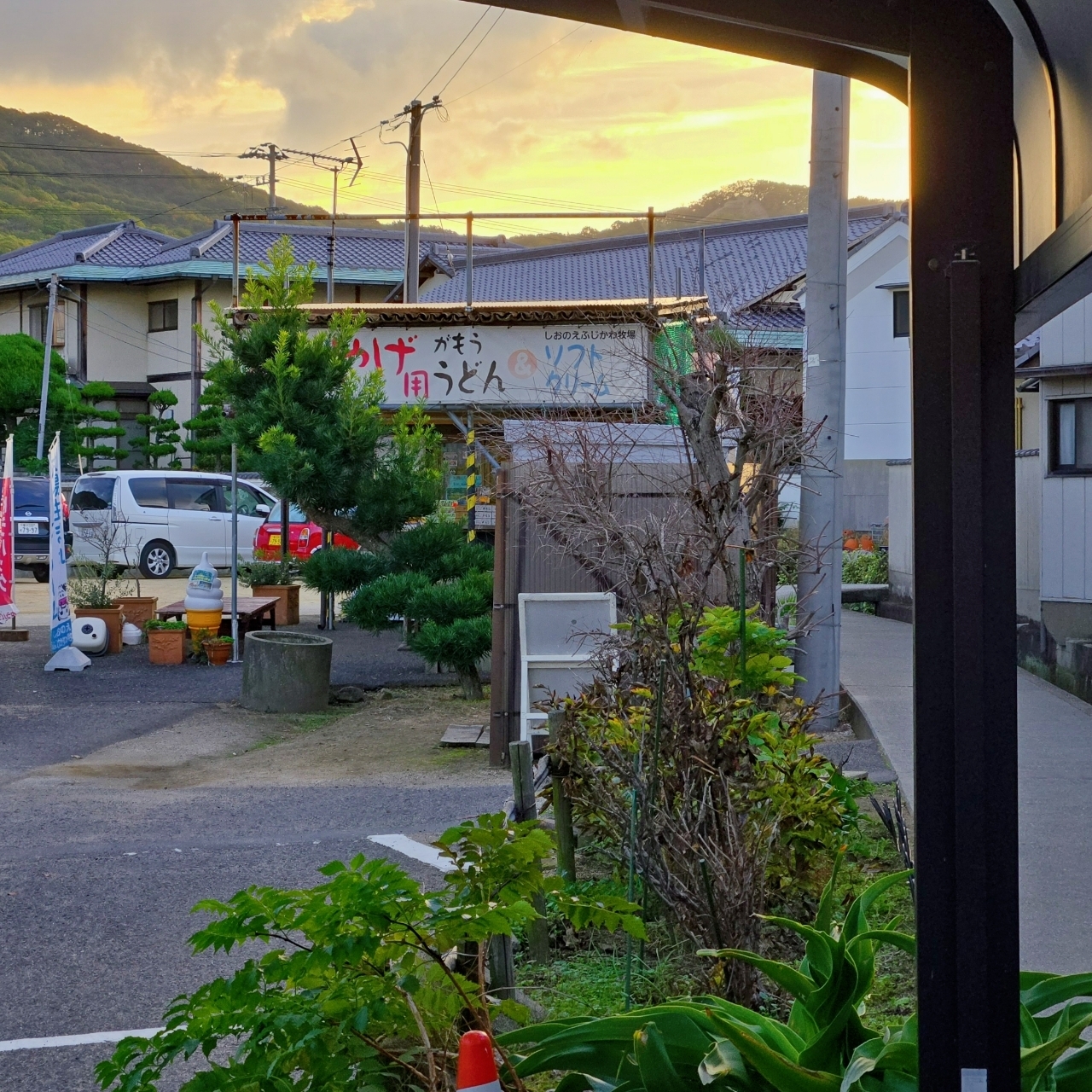 miさんが投稿した讃岐うどん がもうに関する口コミの画像