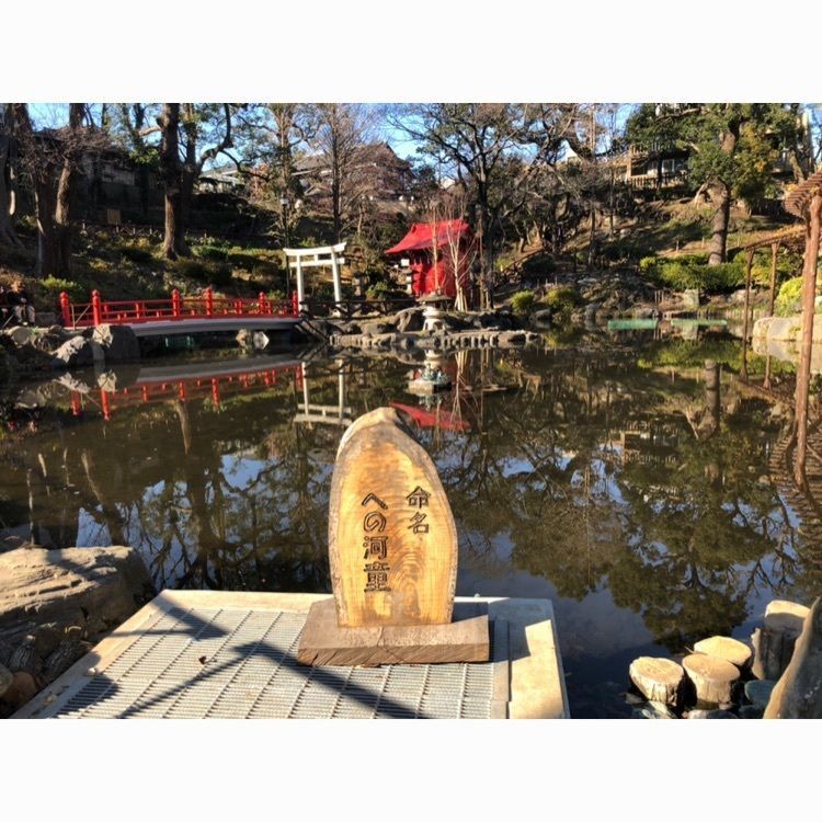 ntf_08さんが投稿した須藤公園に関する口コミの画像