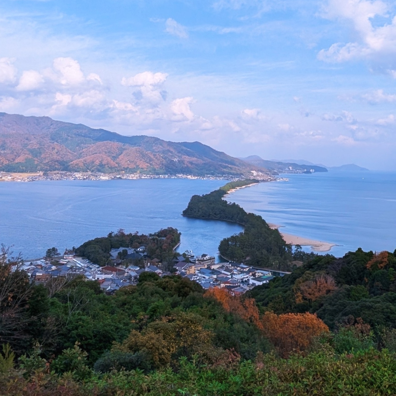 天橋立ぷちたび