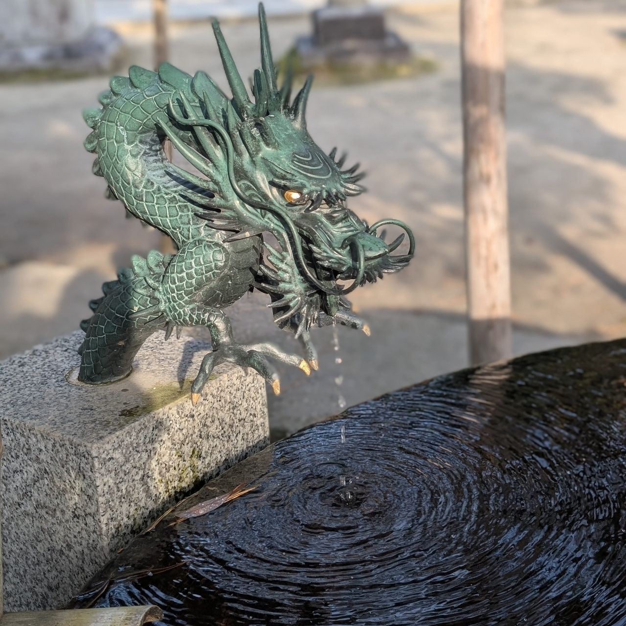 ぬっくさんが投稿した天橋立ぷちたびに関する口コミの画像