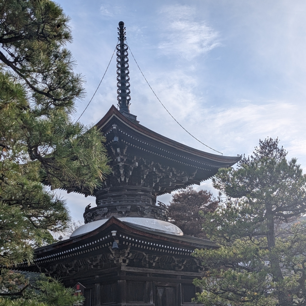 ぬっくさんが投稿した天橋立ぷちたびに関する口コミの画像