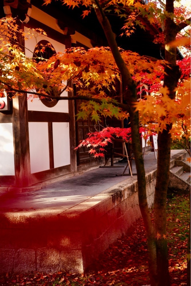ぱーさんさんが投稿した禅林寺永観堂の紅葉に関する口コミの画像