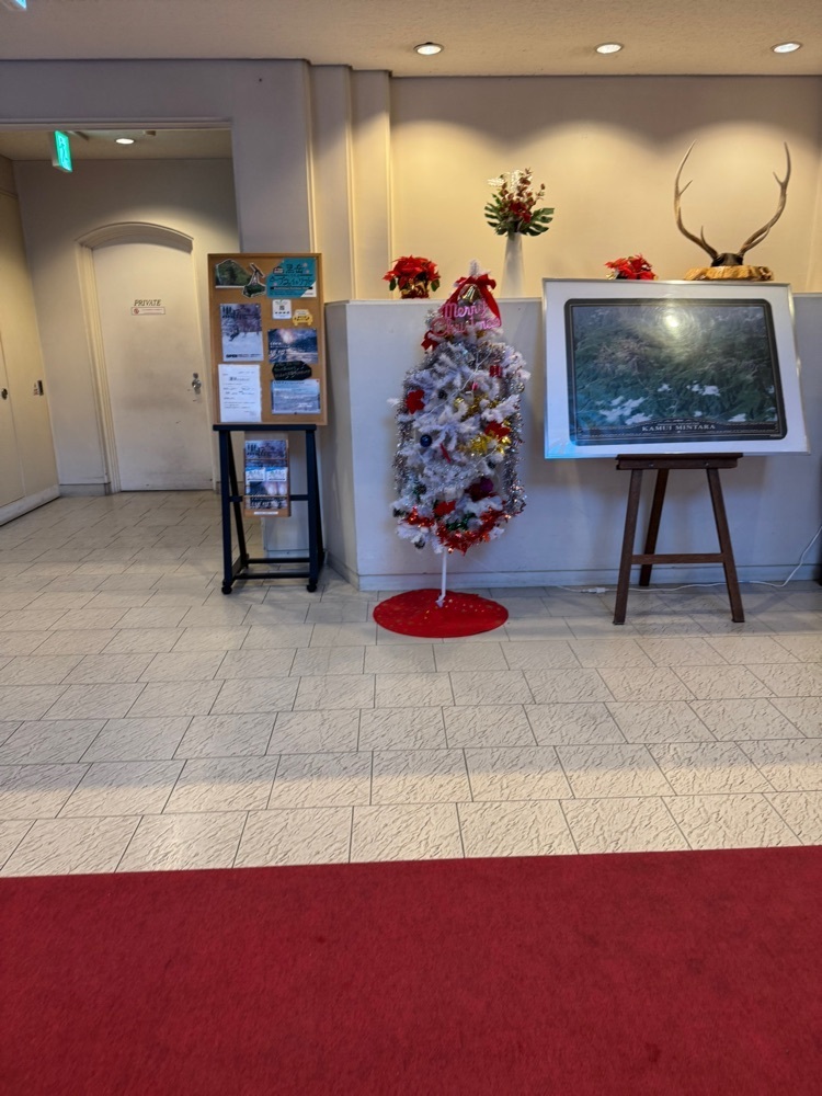 P-sanさんが投稿した層雲峡マウントビューホテルに関する口コミの画像