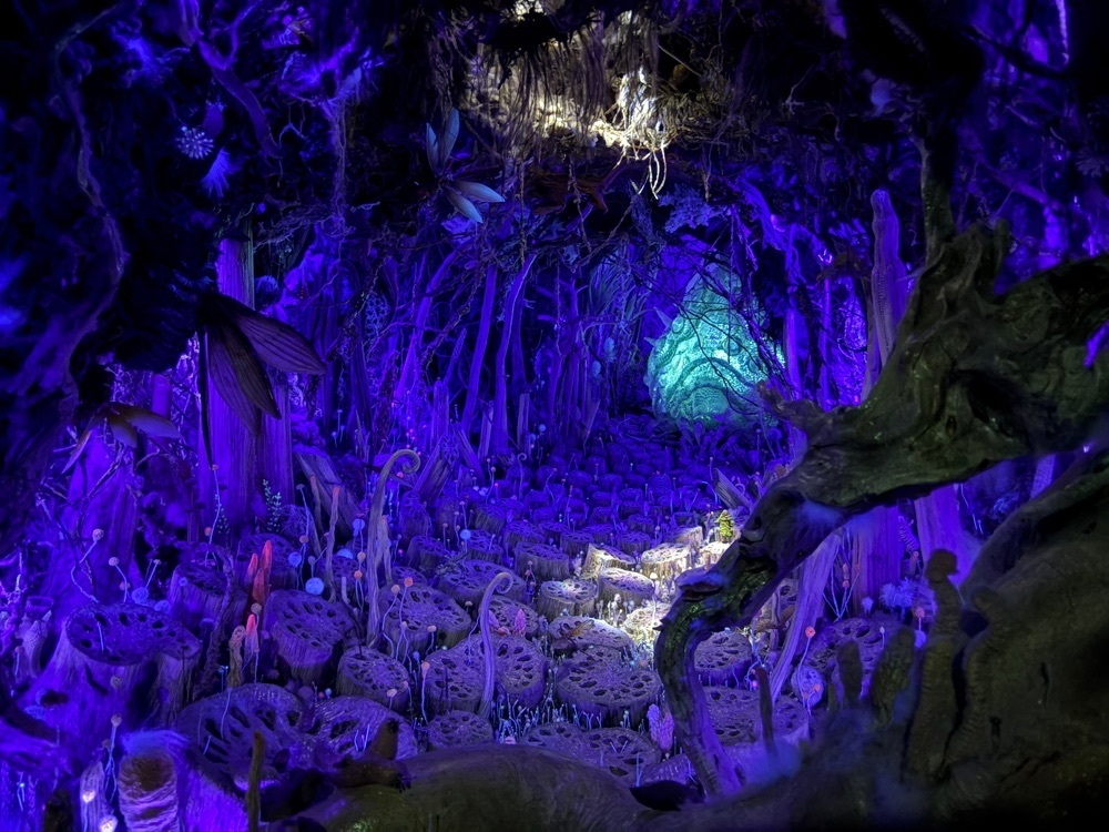 やぎんちょ☆さんが投稿した静岡県立美術館に関する口コミの画像