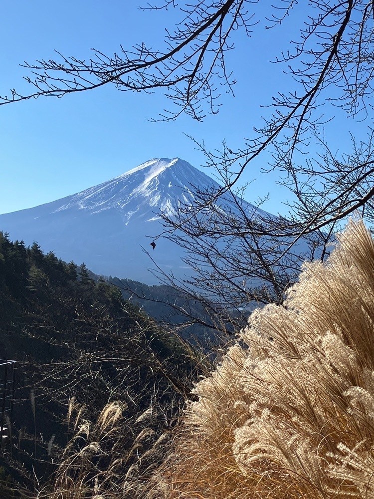 Nさんが投稿したつながるcafeに関する口コミの画像