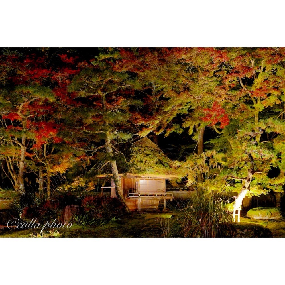 urban_garden_243aさんが投稿したしょうざん庭園に関する口コミの画像