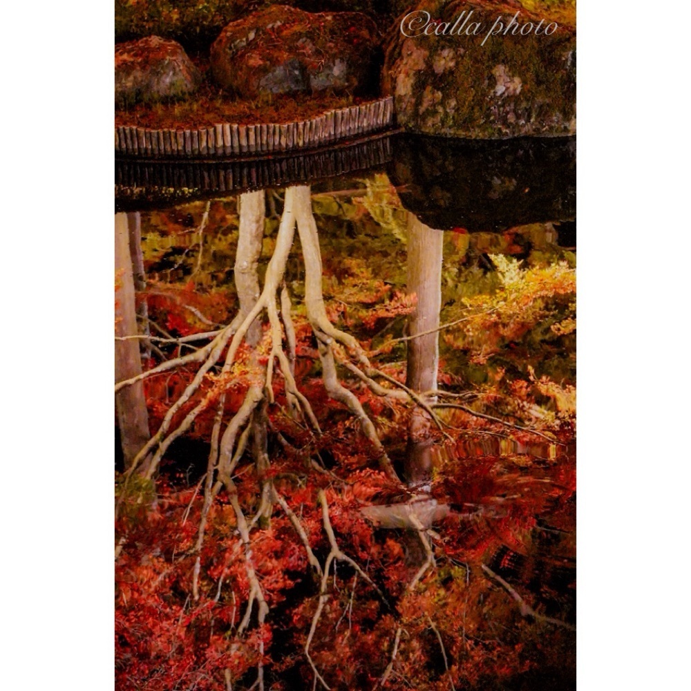 urban_garden_243aさんが投稿したしょうざん庭園に関する口コミの画像