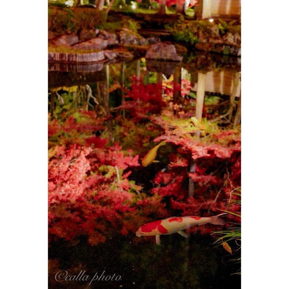 urban_garden_243aさんが投稿したしょうざん庭園に関する口コミの画像