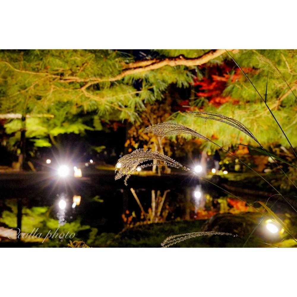 urban_garden_243aさんが投稿したしょうざん庭園に関する口コミの画像
