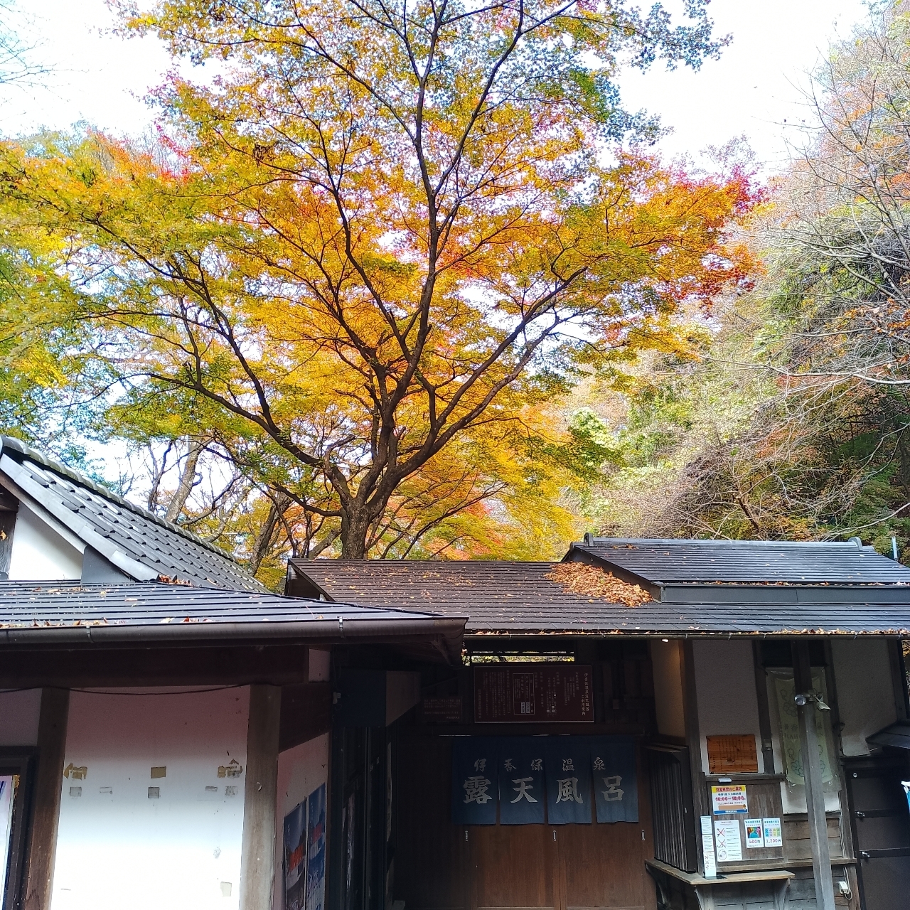 のんびりんこさんが投稿した伊香保（イカホ）に関する口コミの画像