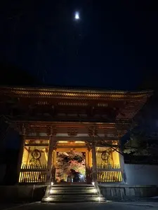 醍醐寺