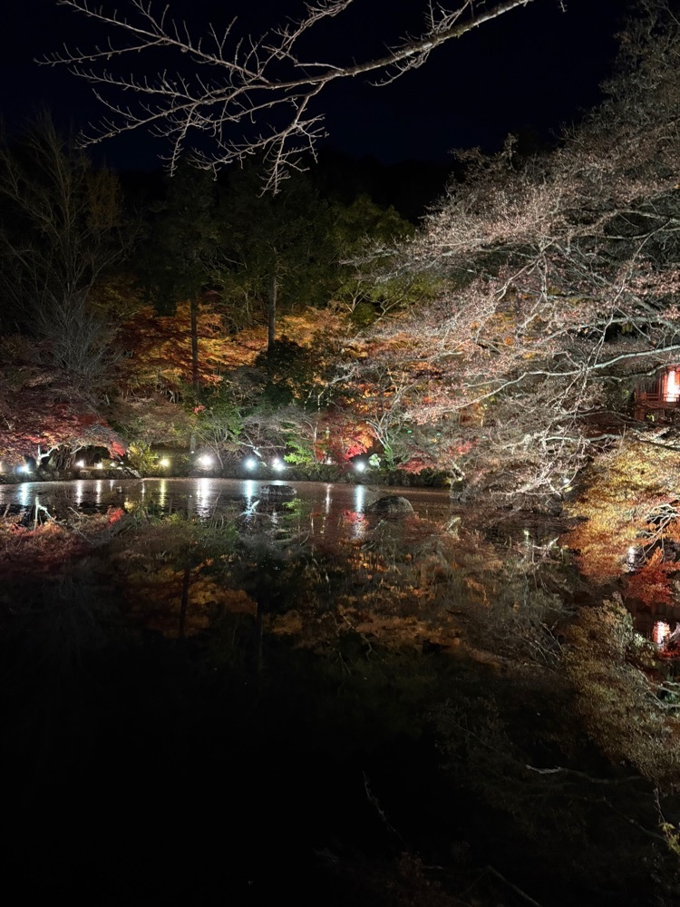 Danjouさんが投稿した醍醐寺に関する口コミの画像