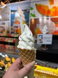 恵比寿 桜