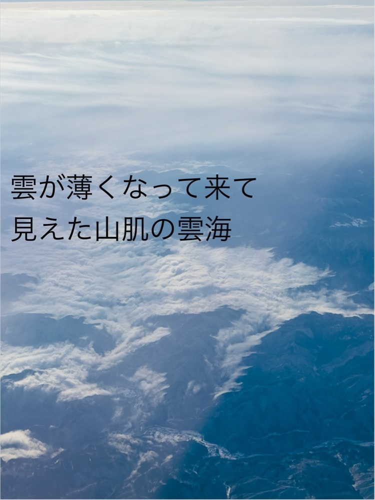 かめ_メグミさんが投稿した八天堂 広島空港店に関する口コミの画像