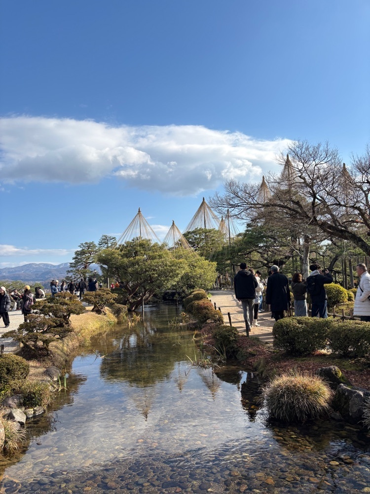 らぐ🏉🍺ビアさんが投稿した兼六園菊桜(兼六園）に関する口コミの画像